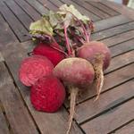 Rote Rübe